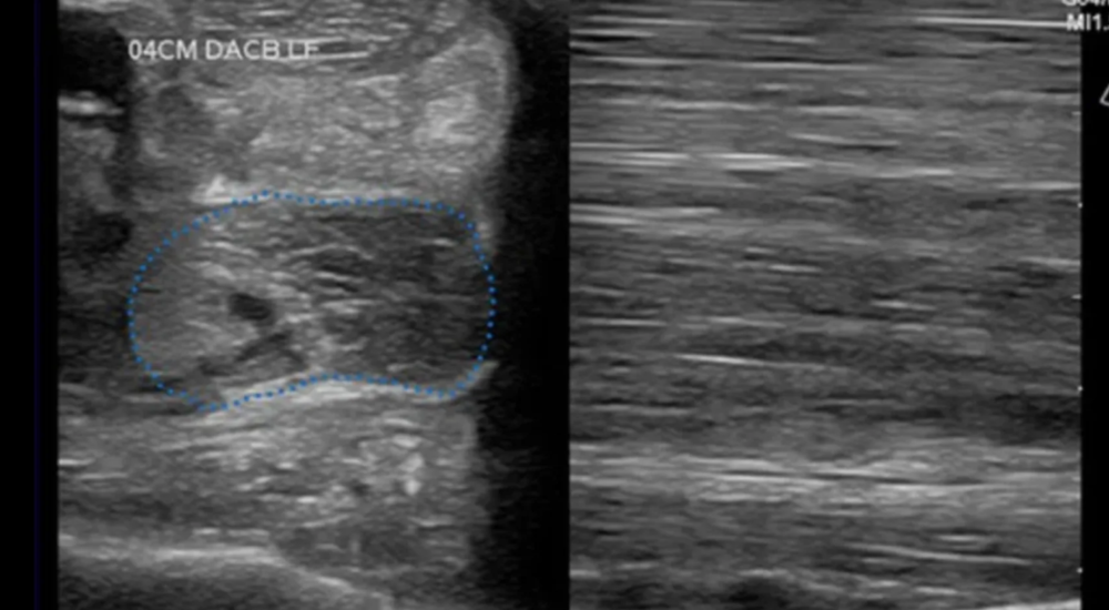 Screenshot 2023-03-07 153422